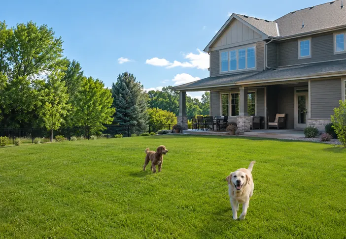 in-ground-dog-fence-installation-near-me-elk-river-mn